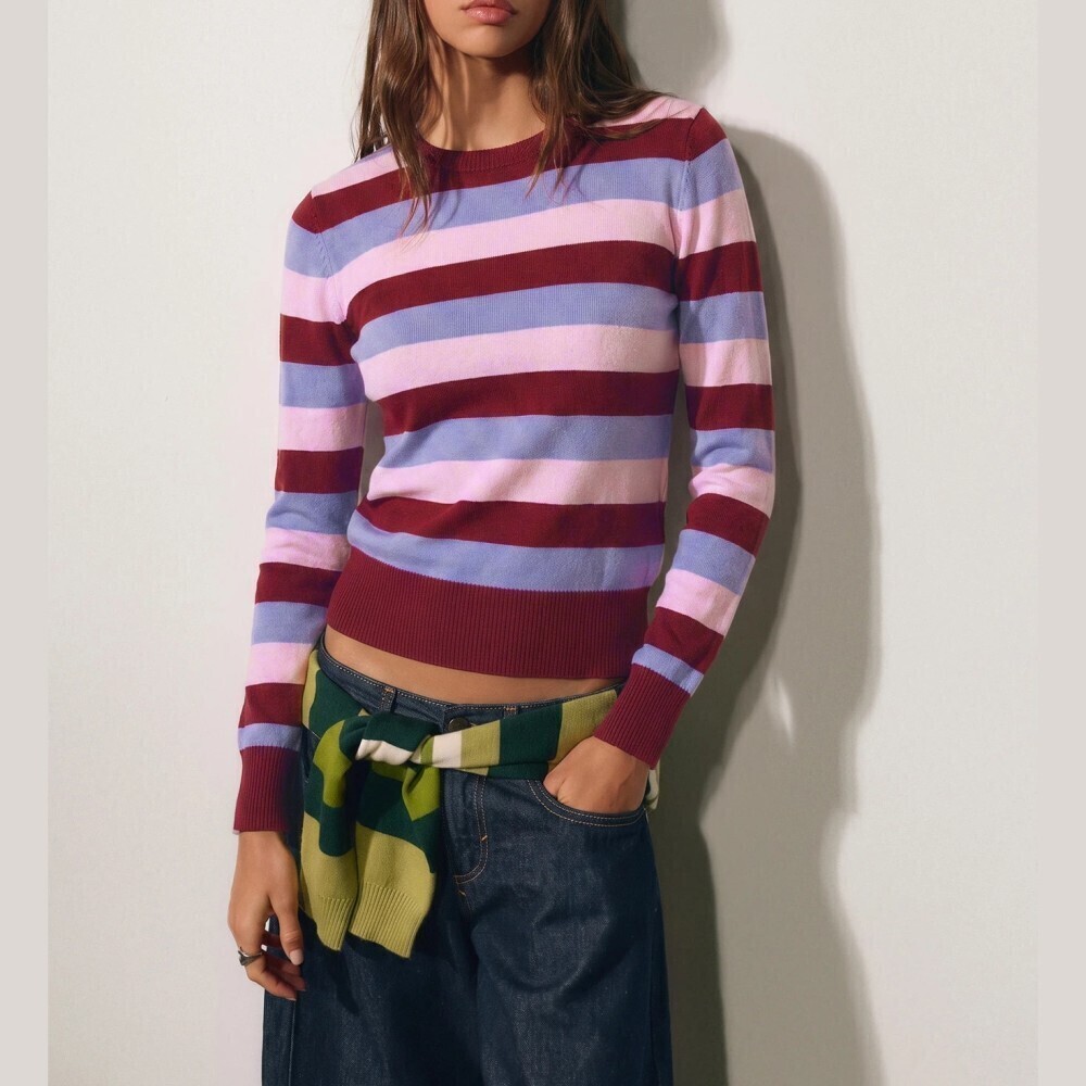 Pink Burgundy Lavender Striped Knit Slim Fit Crew Neck Sweater